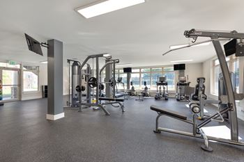 A gym with weights and other exercise equipment